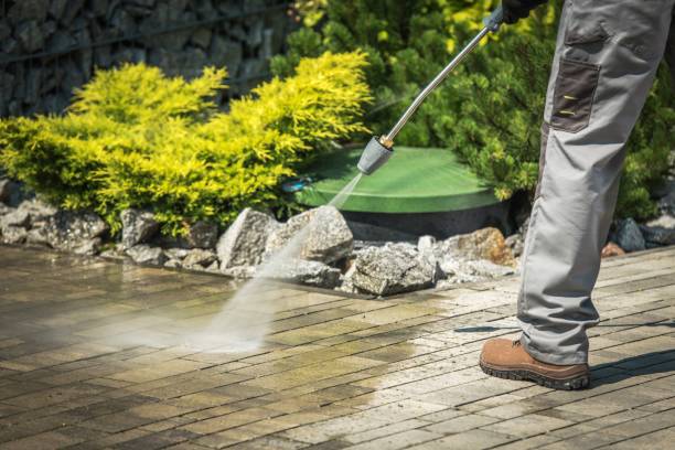 Professional Pressure Washing Services in Black Hammock, FL