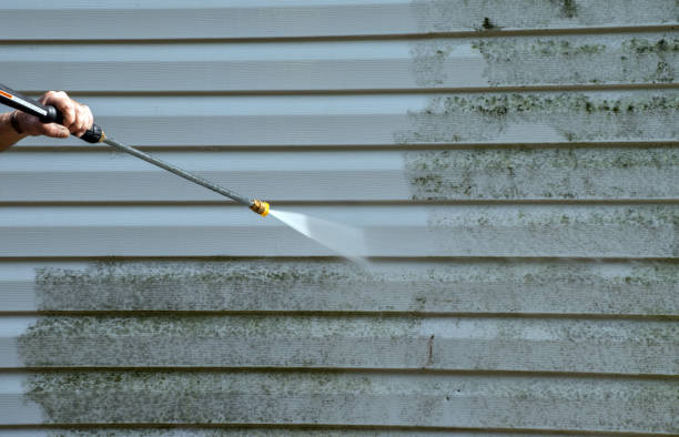 Best Spring Cleaning  in Black Hammock, FL